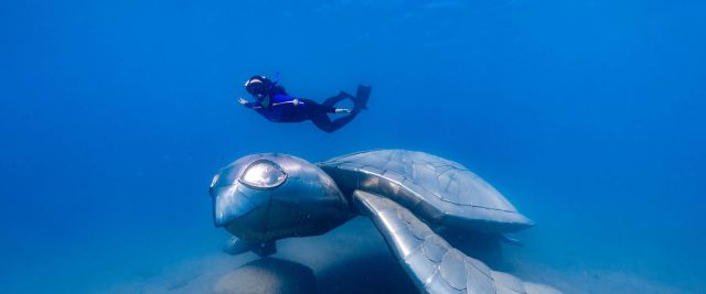 Underwater turtle sculpture at Langford Bird Reef, by artist Col Henry.