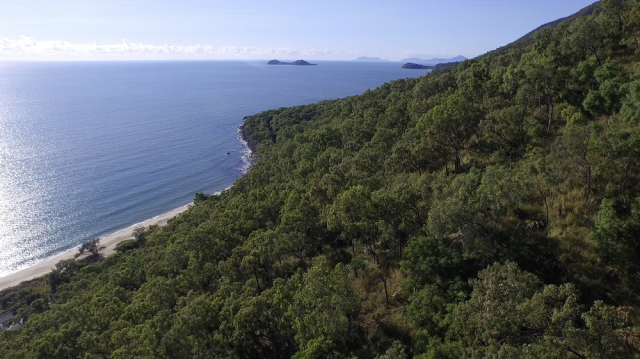 Wangetti Trail views will showcase where the rainforest meets the reef 