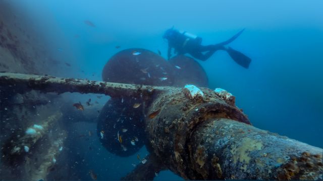 Person diving next to an old ship that has been sunk 